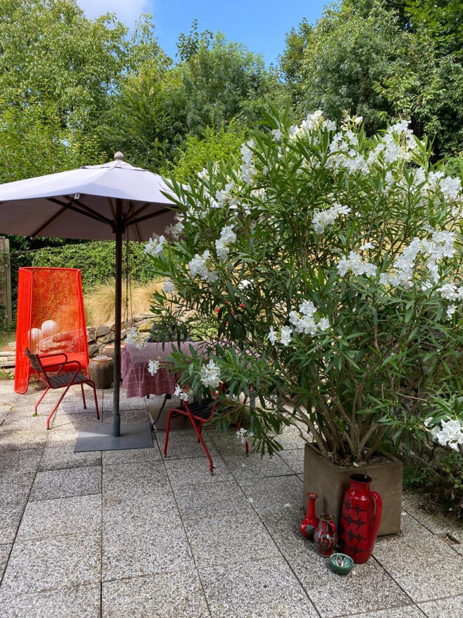 Jules&Jim Gaestehaus Linz Zewnętrze zdjęcie